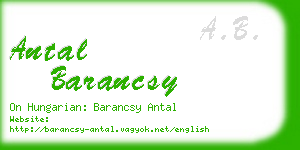 antal barancsy business card